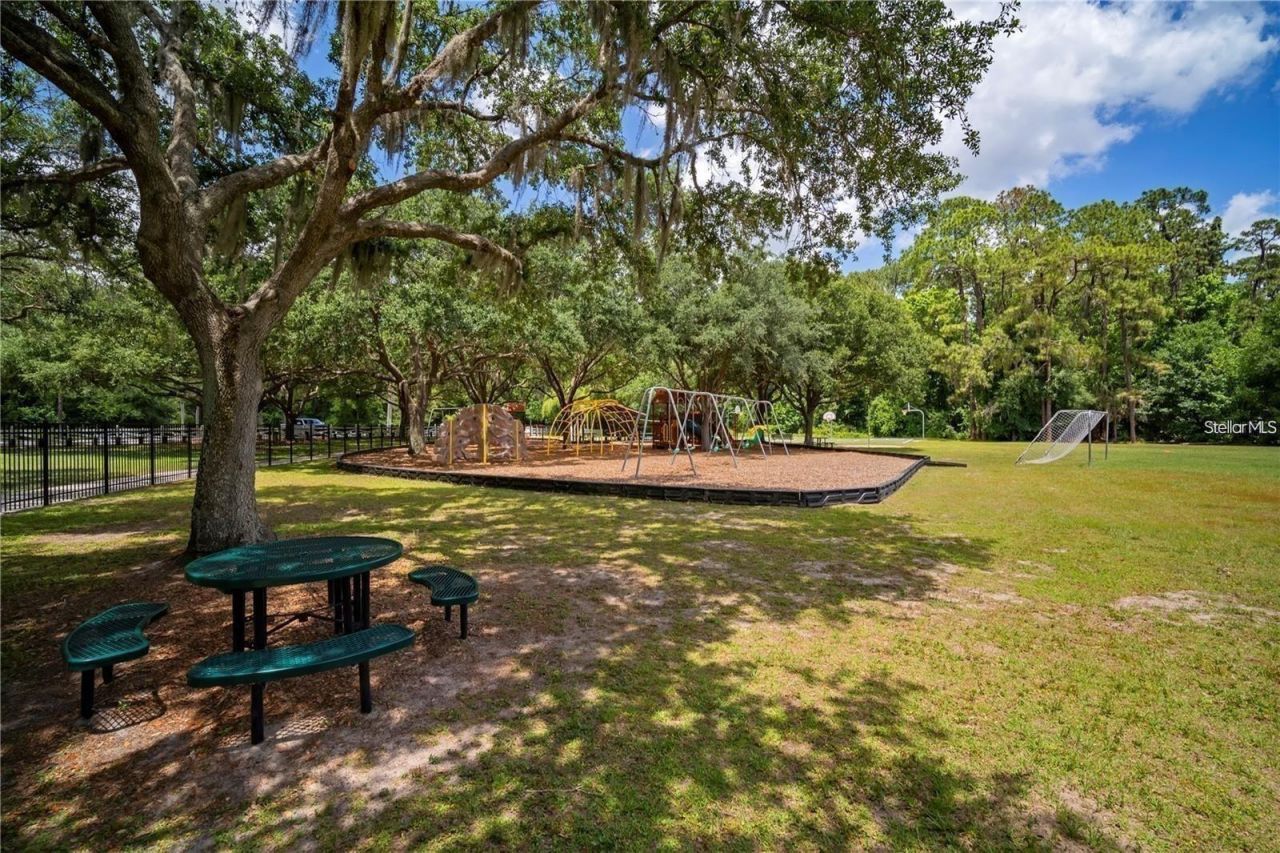 4021 Lithia Ridge Boulevard, Valrico, FL 33596 Photo