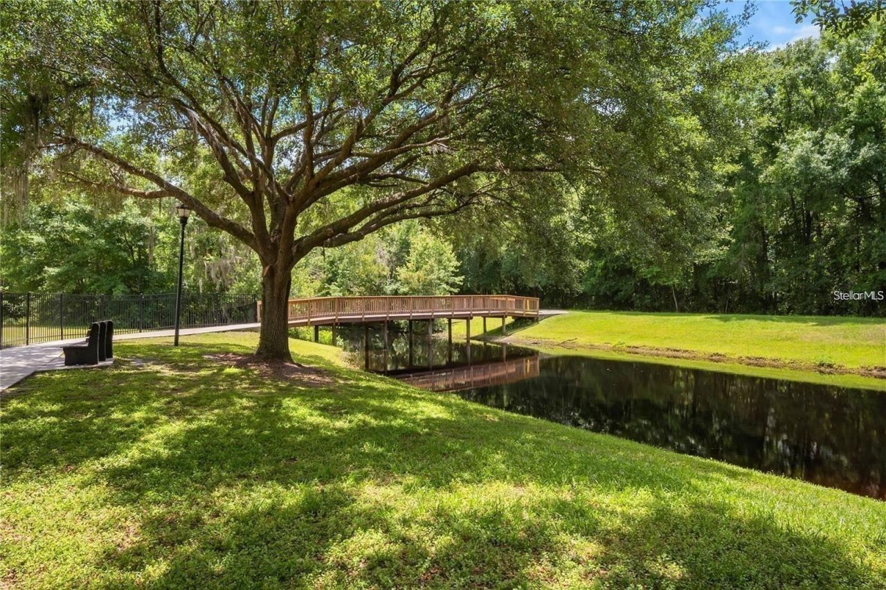 4021 Lithia Ridge Boulevard, Valrico, FL 33596 Photo