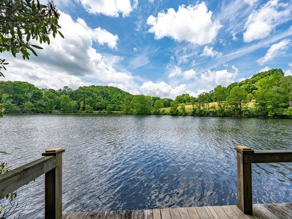 206 Ripshin Lake Road, Roan Mountain, TN 37687