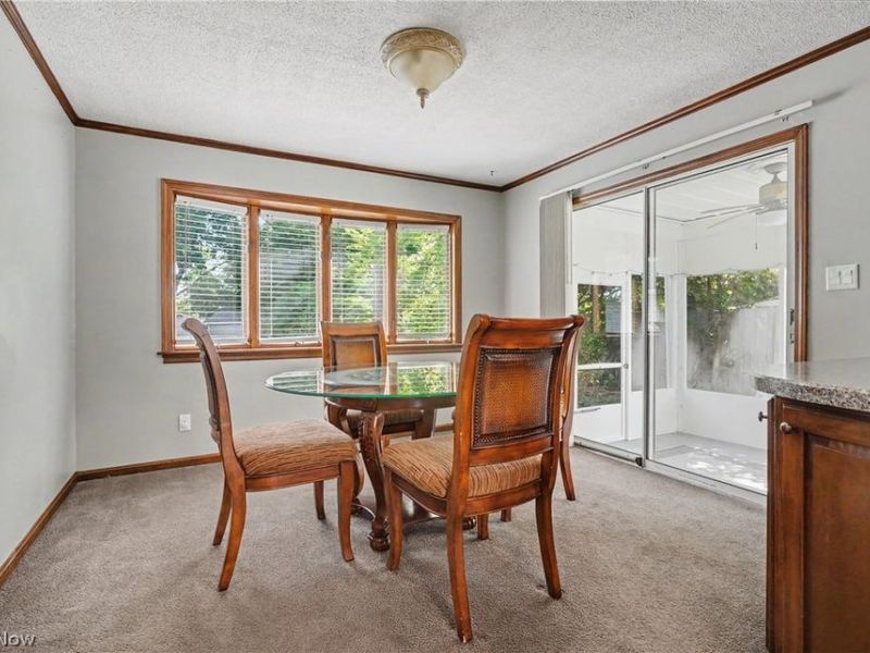 1711 Thornapple Avenue, Akron, OH 44301 Photo 10