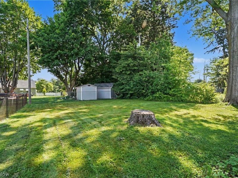 1711 Thornapple Avenue, Akron, OH 44301 Photo 28