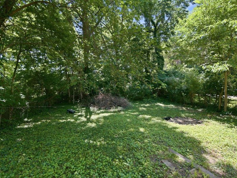 813 S Fred Shuttlesworth Circle, Cincinnati, OH 45229 Photo 44