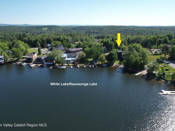 3565 State Rte 55, Kauneonga Lake, NY 12749