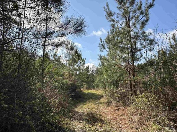 15 AC Snider Rd, Frisco City, AL 36445