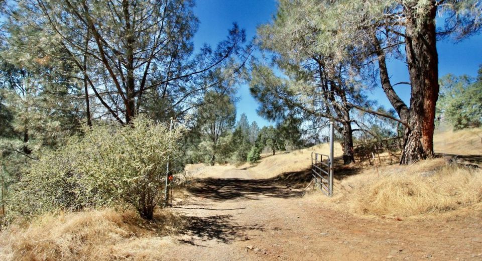 12507 Angel Wing Ln, Smartville, CA 95977 Photo