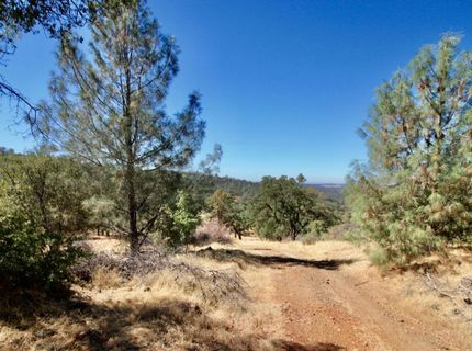 12507 Angel Wing Ln, Smartville, CA 95977 Photo