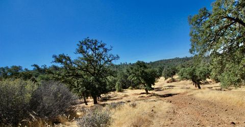 12507 Angel Wing Ln, Smartville, CA 95977 Photo