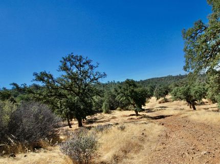 12507 Angel Wing Ln, Smartville, CA 95977 Photo