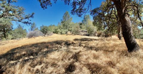 12507 Angel Wing Ln, Smartville, CA 95977 Photo