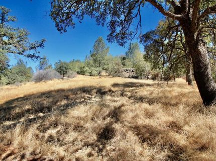 12507 Angel Wing Ln, Smartville, CA 95977 Photo
