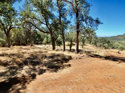 12507 Angel Wing Ln, Smartville, CA 95977 Photo