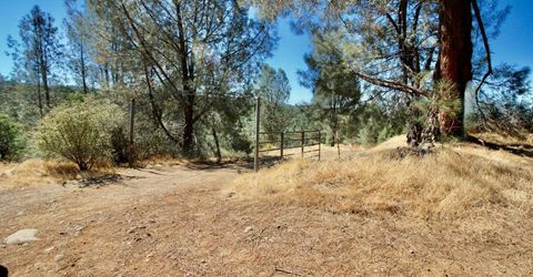 12507 Angel Wing Ln, Smartville, CA 95977 Photo