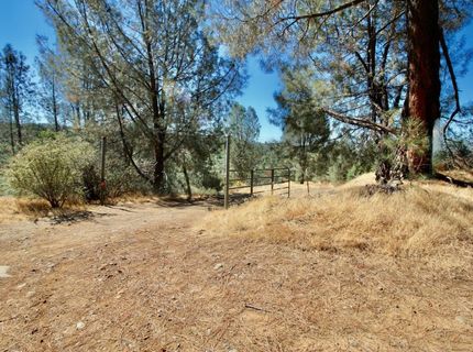 12507 Angel Wing Ln, Smartville, CA 95977 Photo