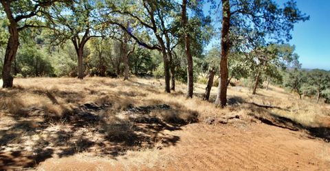 12507 Angel Wing Ln, Smartville, CA 95977 Photo