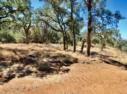12507 Angel Wing Ln, Smartville, CA 95977 Photo