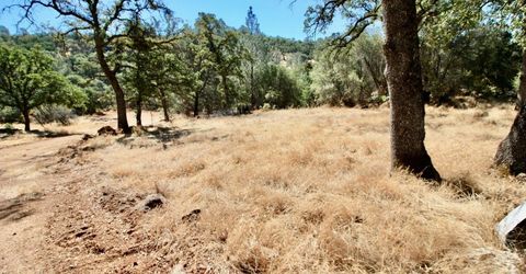 12507 Angel Wing Ln, Smartville, CA 95977 Photo