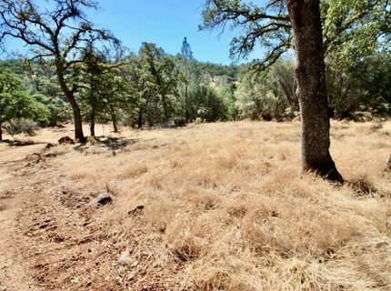 12507 Angel Wing Ln, Smartville, CA 95977 Photo