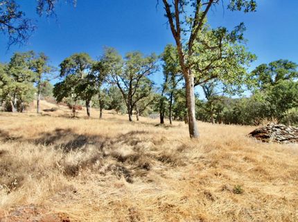 12507 Angel Wing Ln, Smartville, CA 95977 Photo