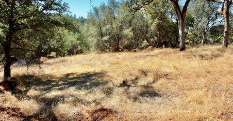 12507 Angel Wing Ln, Smartville, CA 95977 Photo