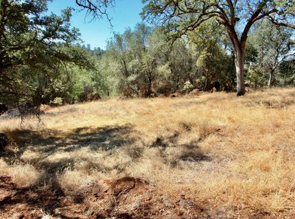 12507 Angel Wing Ln, Smartville, CA 95977 Photo