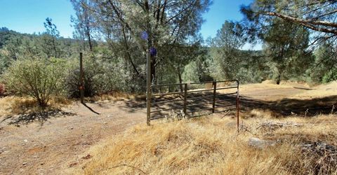 12507 Angel Wing Ln, Smartville, CA 95977 Photo