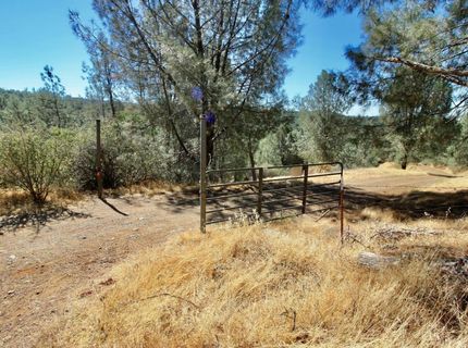 12507 Angel Wing Ln, Smartville, CA 95977 Photo