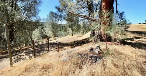 12507 Angel Wing Ln, Smartville, CA 95977 Photo
