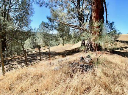 12507 Angel Wing Ln, Smartville, CA 95977 Photo