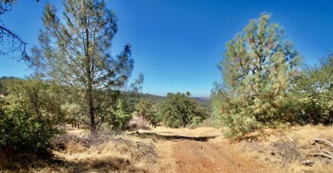 12507 Angel Wing Ln, Smartville, CA 95977 Photo
