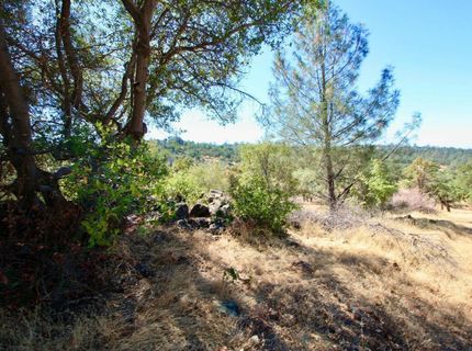 12507 Angel Wing Ln, Smartville, CA 95977 Photo