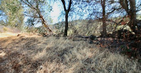 12507 Angel Wing Ln, Smartville, CA 95977 Photo