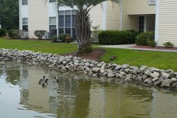 8861 Barkwood Dr.  photo 4