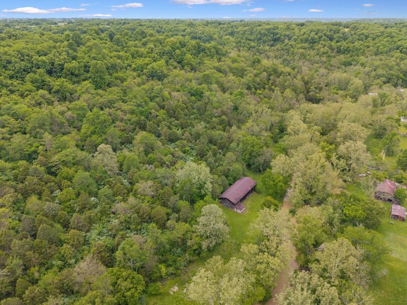 925 Lockmier Road, Augusta, KY 41002 Photo 41