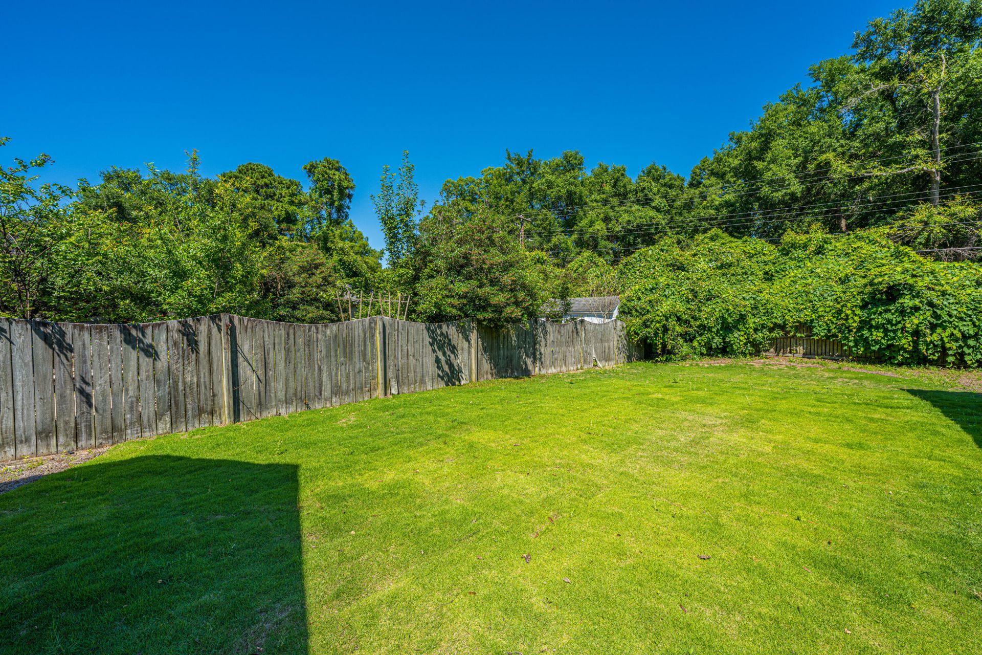 1423 Swamp Fox Lane Photo 21