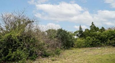 5381 N Us Highway 1, Fort Pierce, FL 34946 Photo
