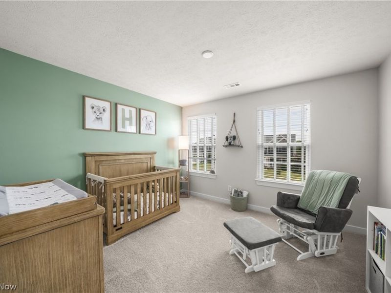 8513 Raya Lane, Streetsboro, OH 44241 Photo 17