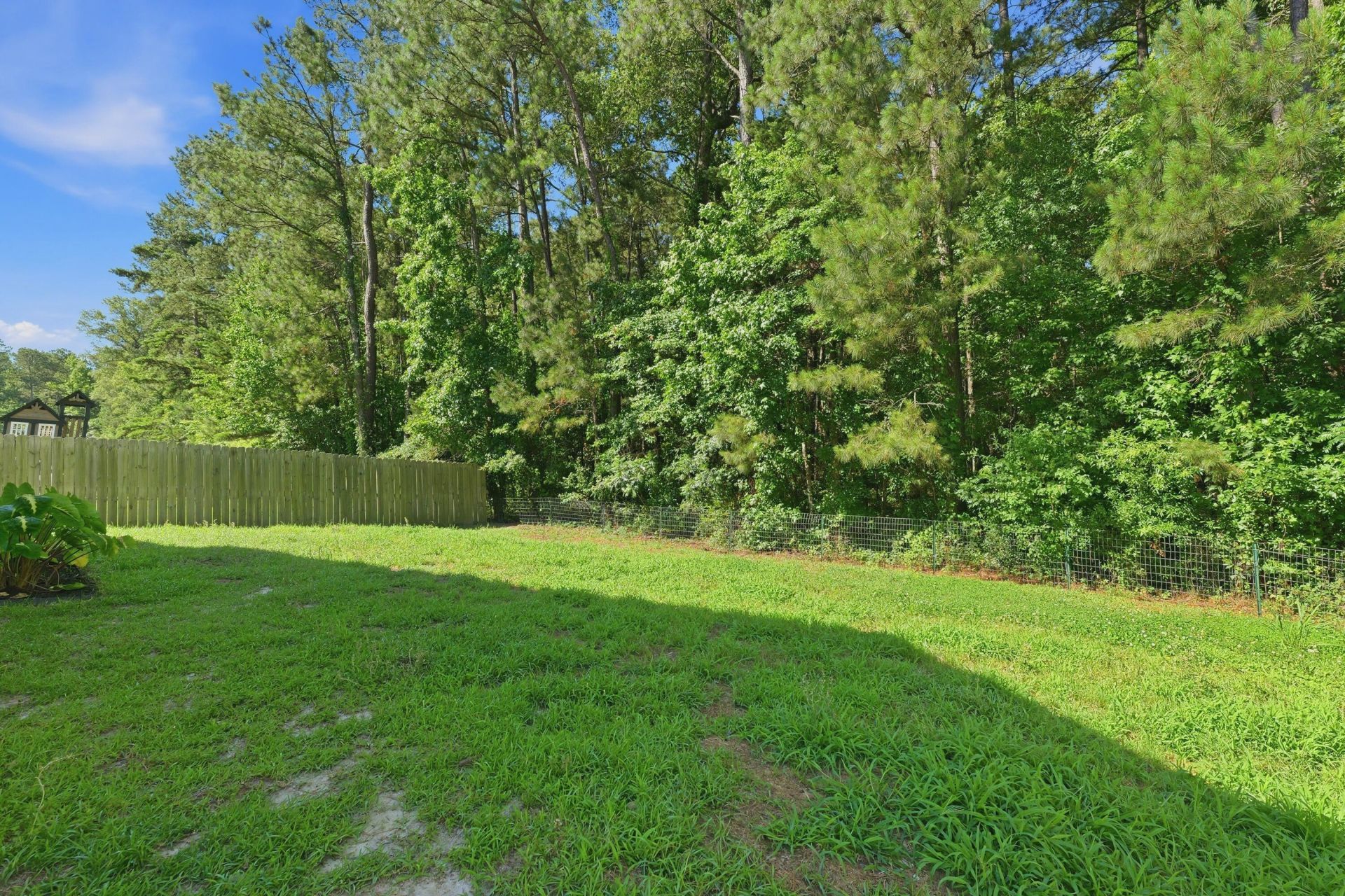 559 Abigail Street Photo 42