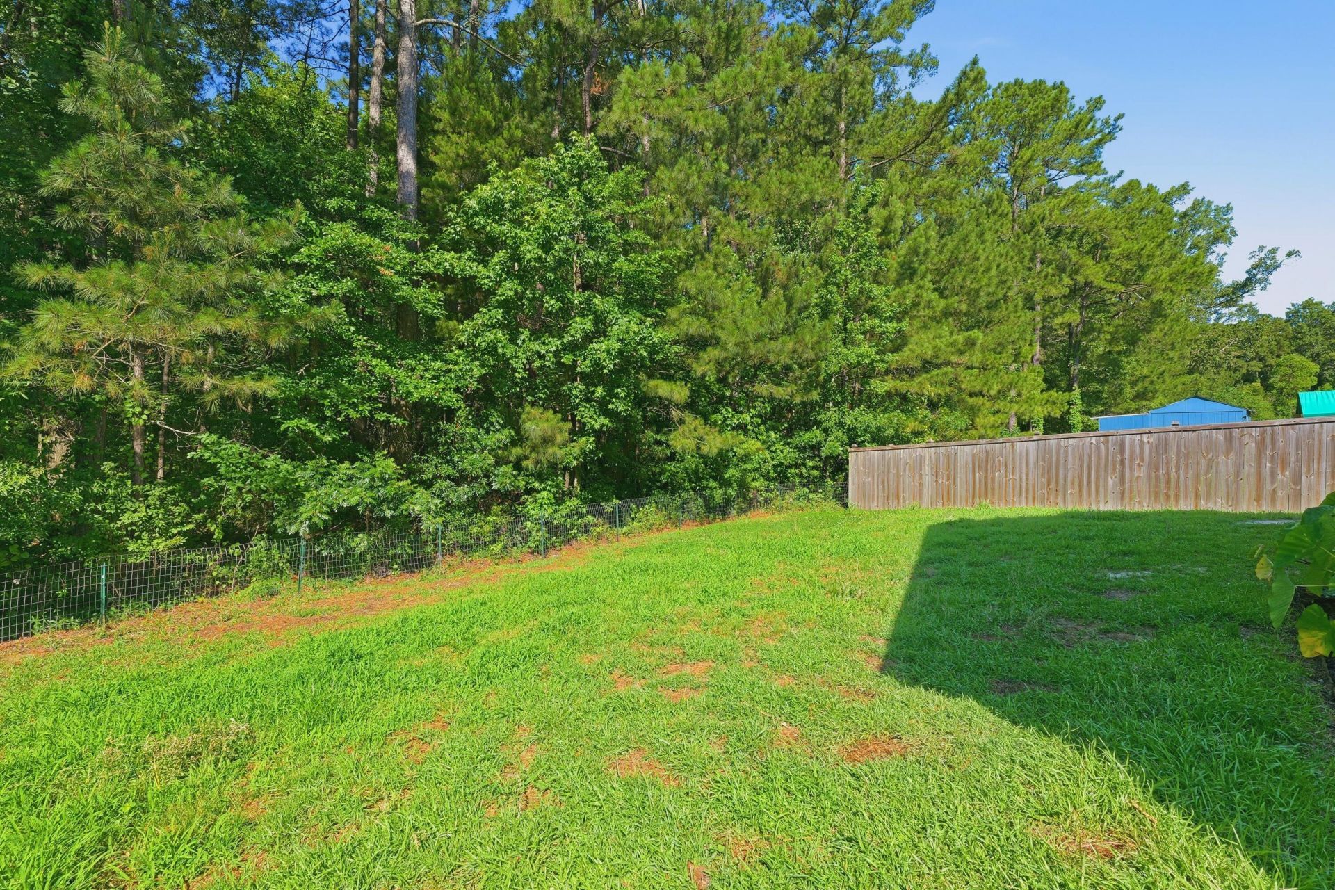 559 Abigail Street Photo 46