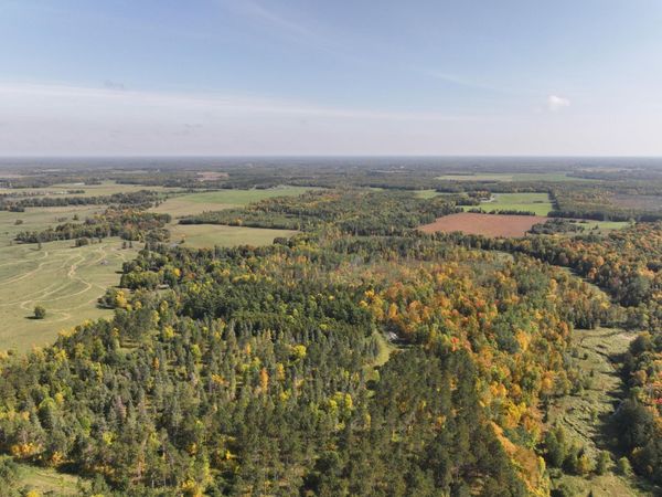 Lot D 67AC N Blackduck Lake Road , Hines, MN 56647