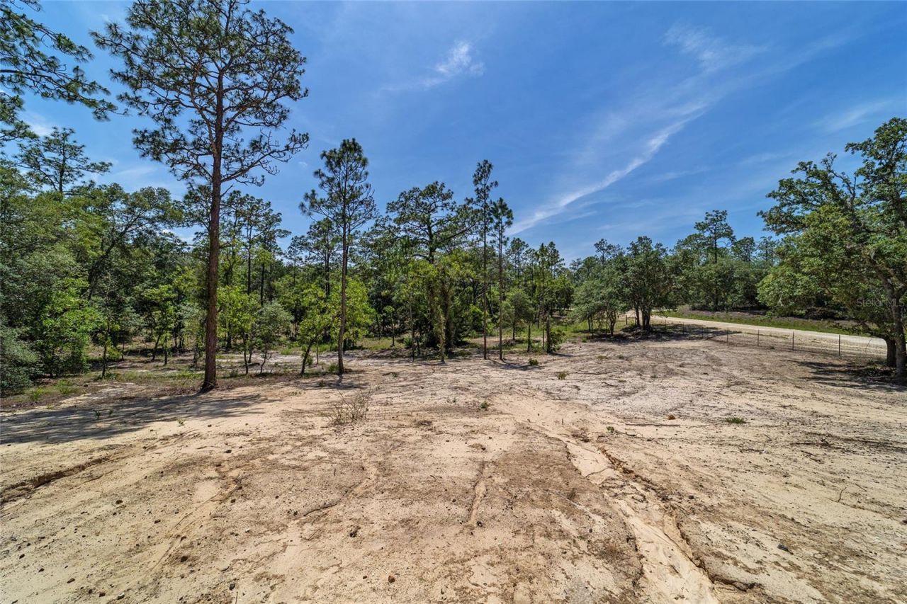 14830 SE 21st Place , Morriston, FL 32668 Photo