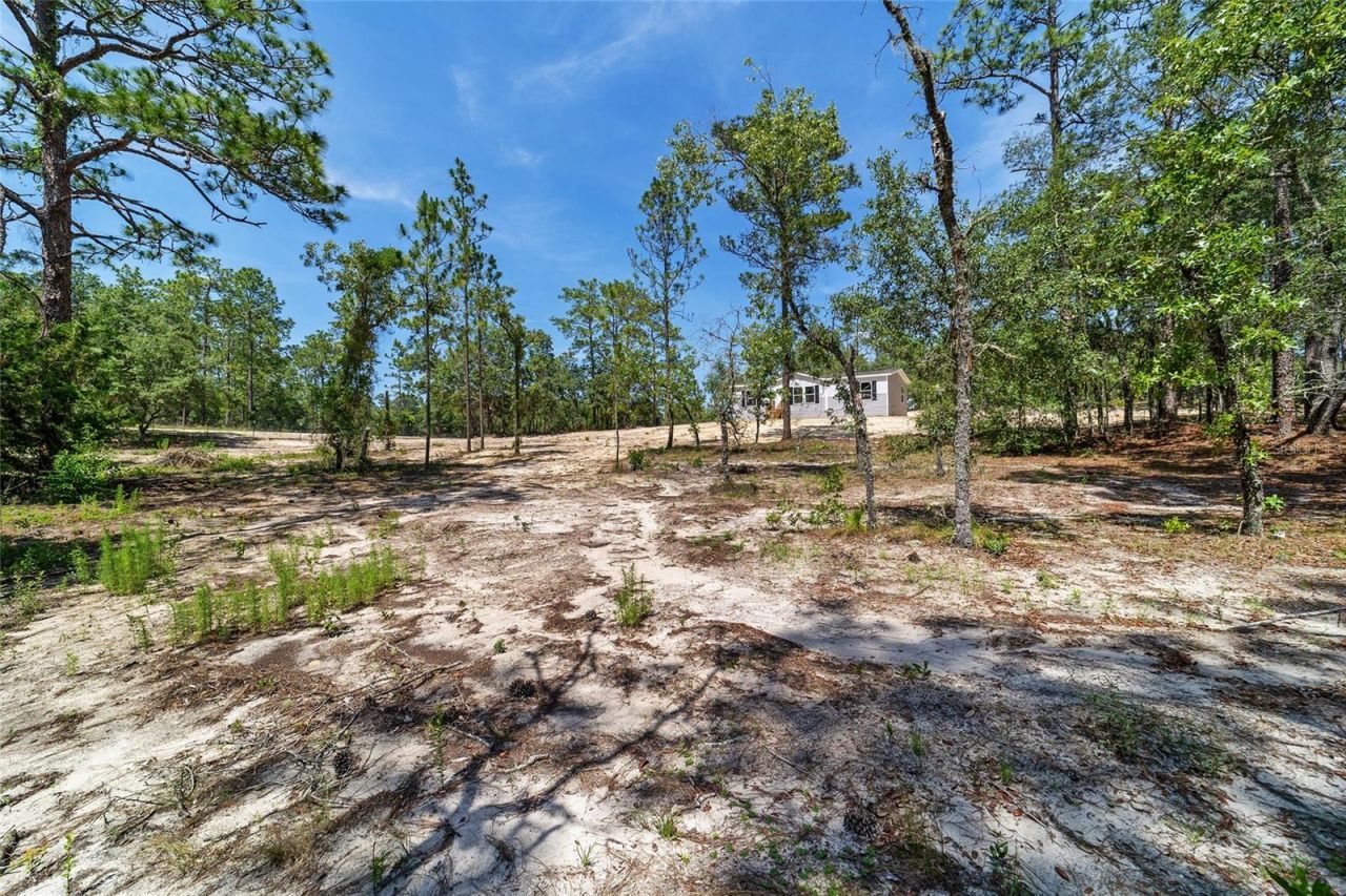 14830 SE 21st Place , Morriston, FL 32668 Photo