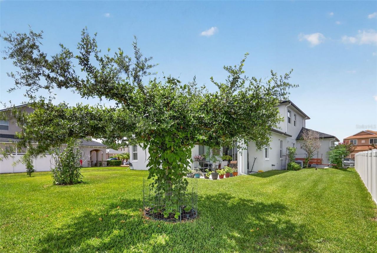 16885 Meadows St , Clermont, FL 34714 Photo