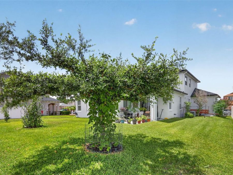 Property Image 56