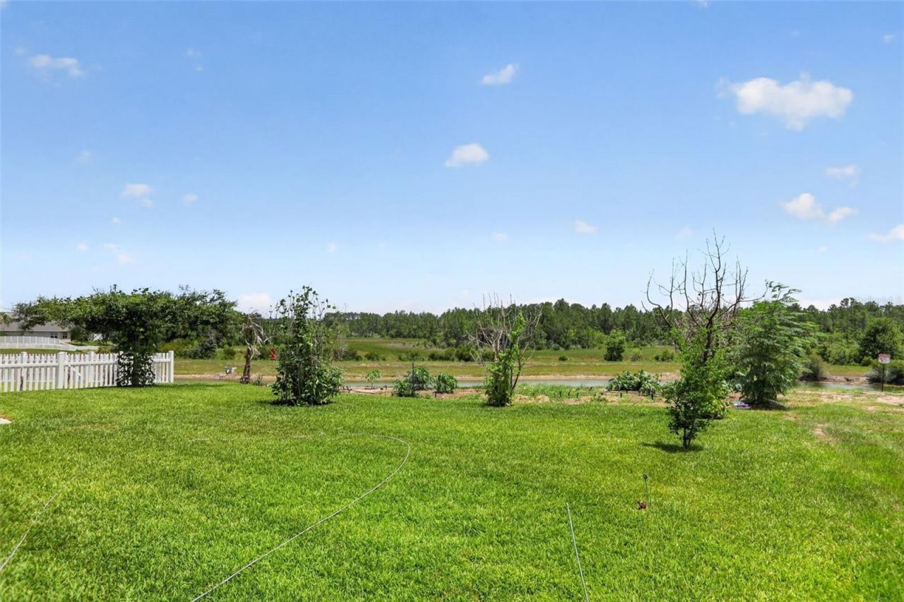 16885 Meadows St , Clermont, FL 34714 Photo