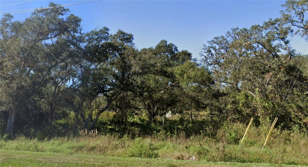 125 Oak Lane , Zolfo Springs, FL 33890 Photo