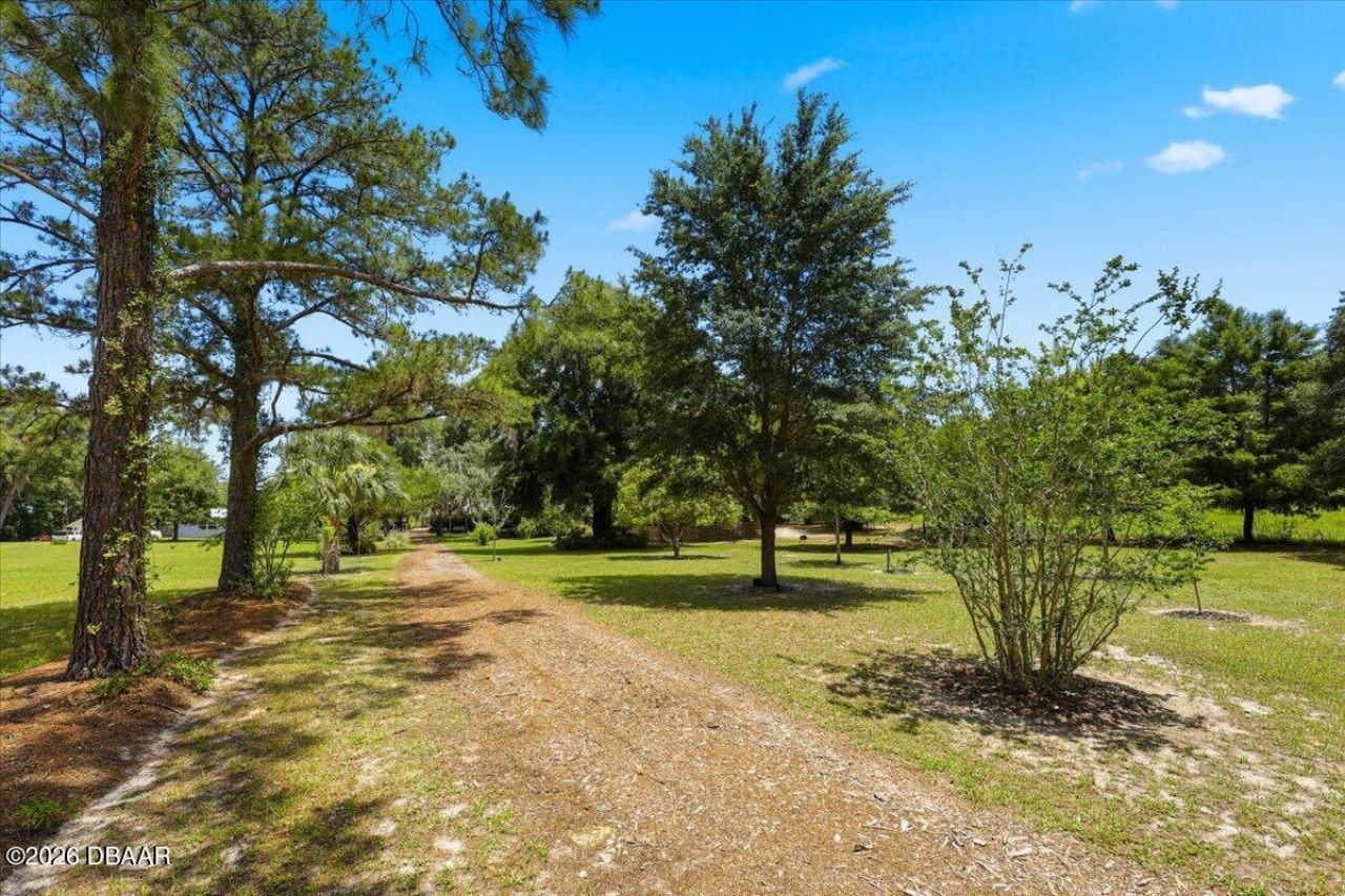460 Lake Como Drive, Pomona Park, FL 32181 Photo