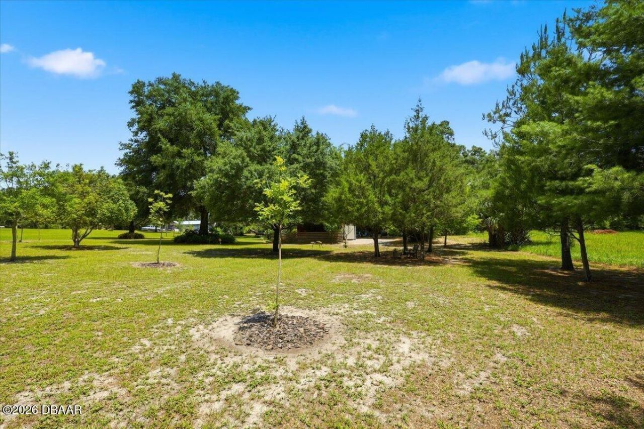 460 Lake Como Drive, Pomona Park, FL 32181 Photo
