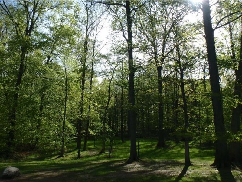 2075 Substation Road , Brunswick Hills, OH 44212 Photo 34