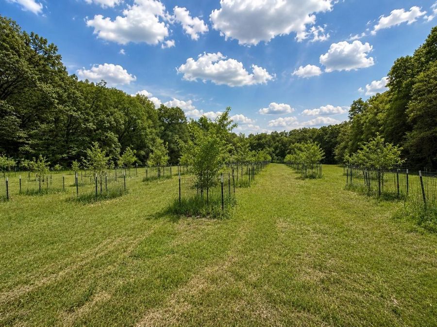 Property Image 81
