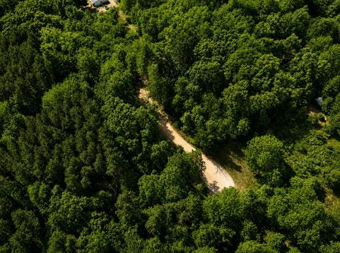 Main Photo